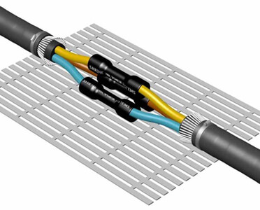 fluke distributor singapore