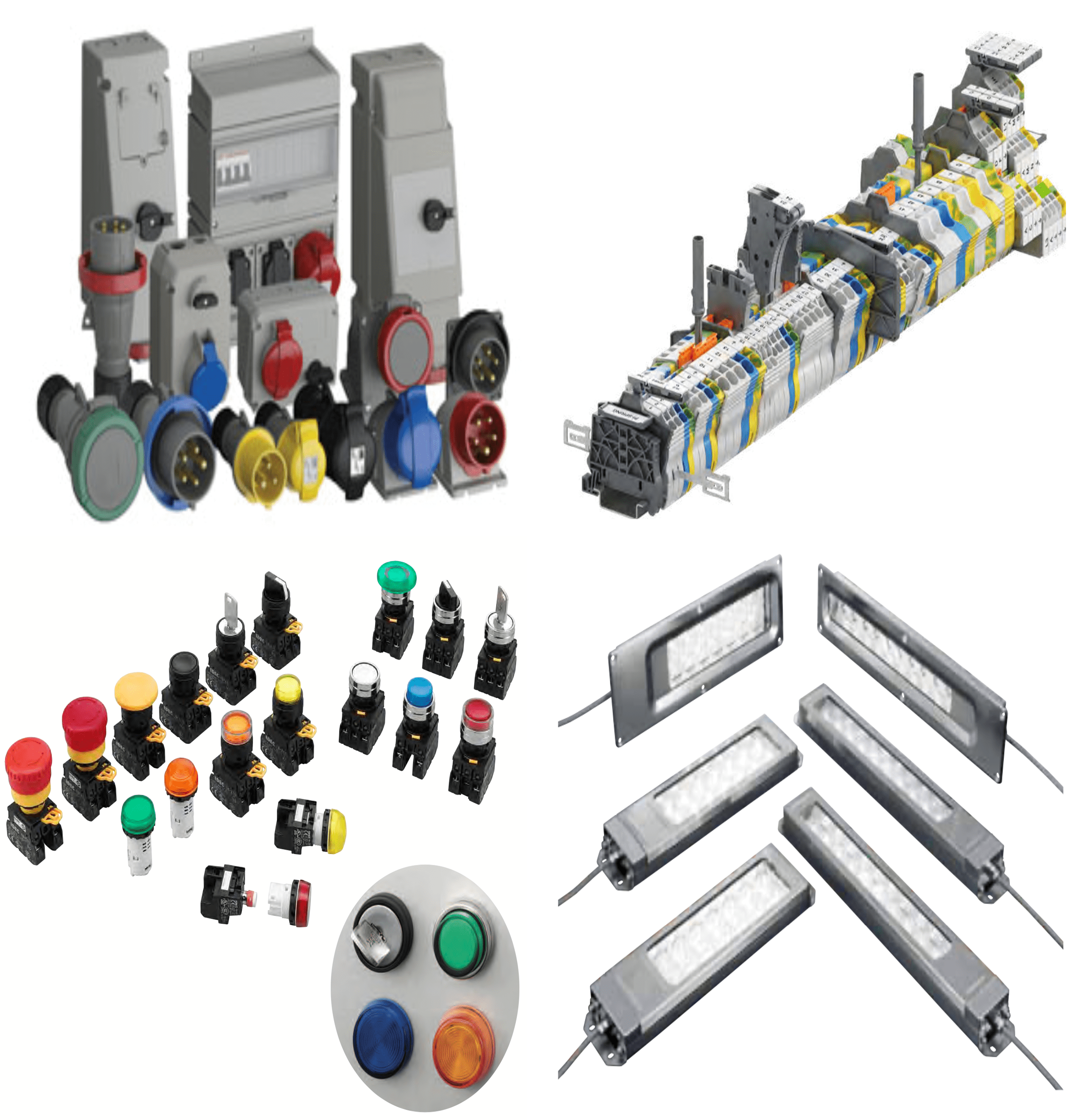 fluke distributor singapore